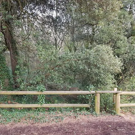 Entre Et Foret La Baule