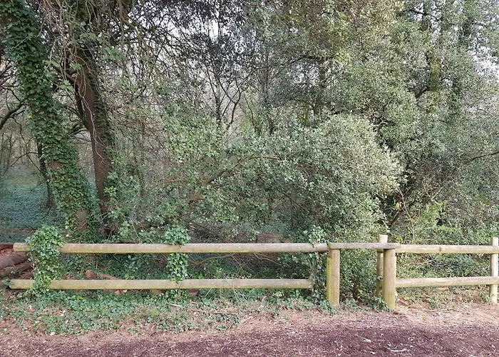 Entre Et Foret La Baule